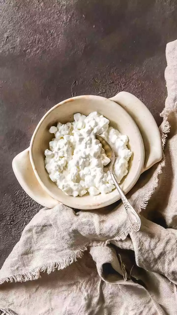 Boost Gut Health: Winter-Friendly Curd Combos
