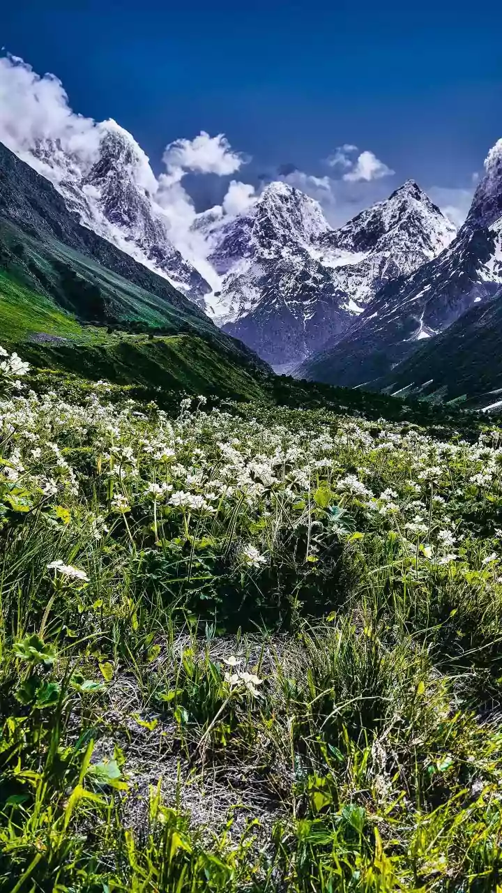 Uttarakhand Beyond Mussoorie: Hidden Gems That Still Feel Untouched