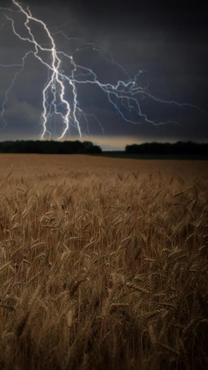 India's Monsoon May Lose Strength: What Consumers Should Know