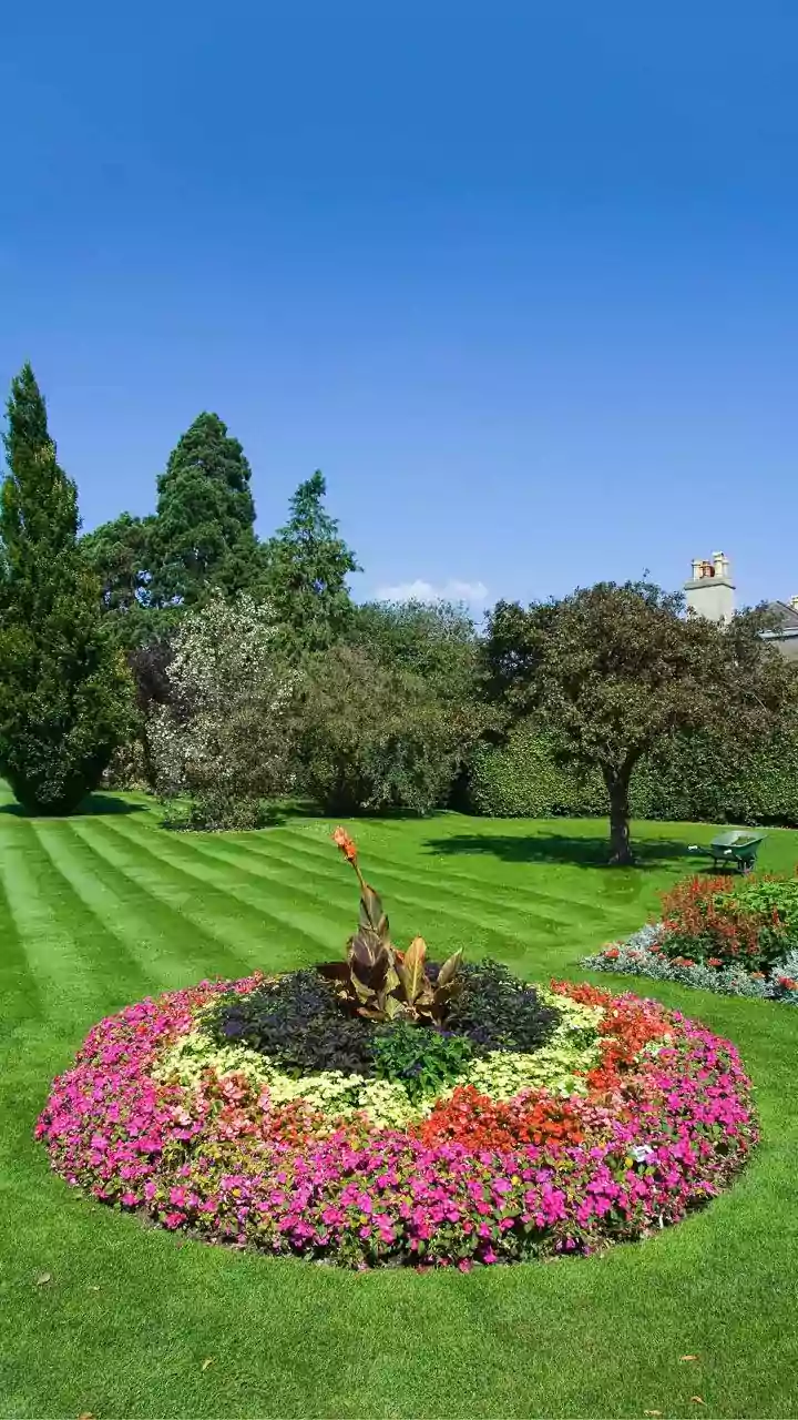 Choose Flower Placement around Seating, Food and Walking Routes