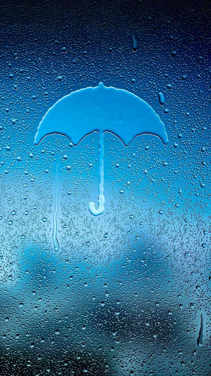 Cyclone 'Montha' to bring heavy rains to 3,778 villages, says Andhra CM Naidu