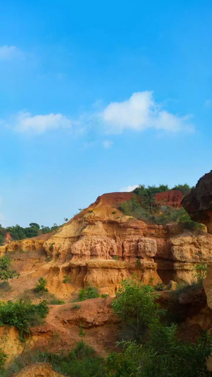 No connection between PMs 'global talk and local walk' on environment, says Cong