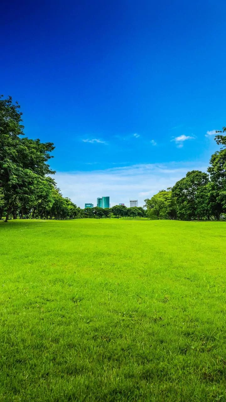 These popular London parks may leave you underwhelmed
