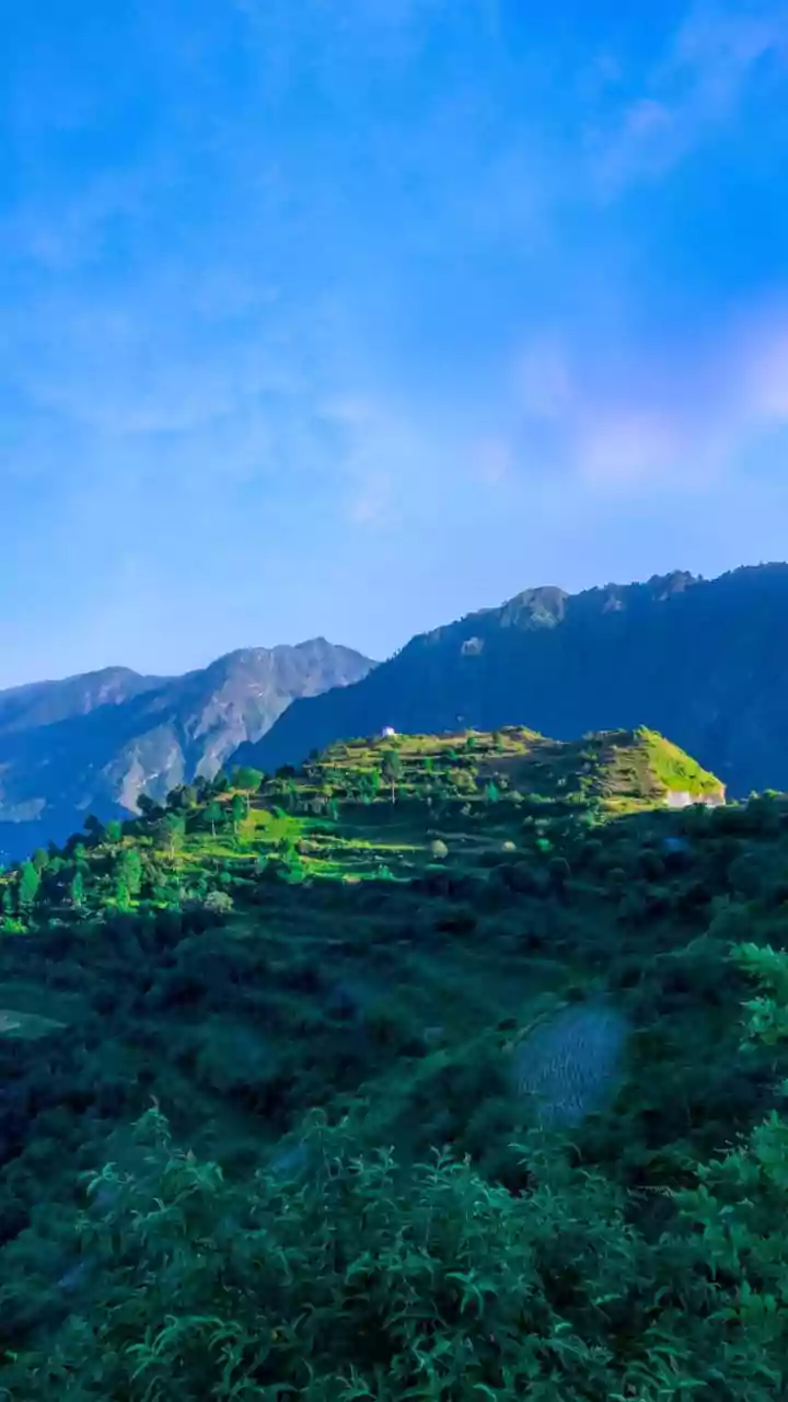 Why Burnt-Out Workers Choose Hill Station Circadian Reset Stays Over Party Trips
