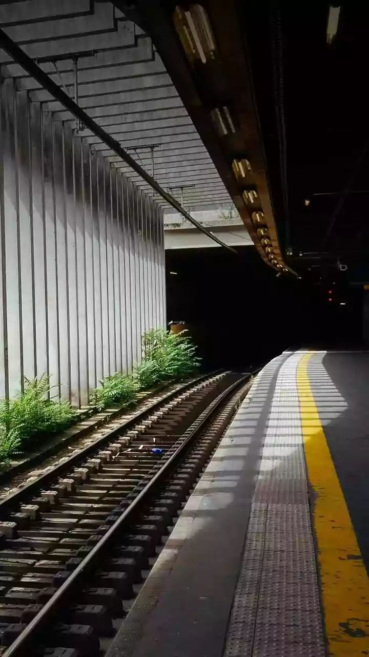Bengaluru: Namma Metro's Yellow Line Trains To Run Every 13 Minutes During Peak Hours From Tuesday