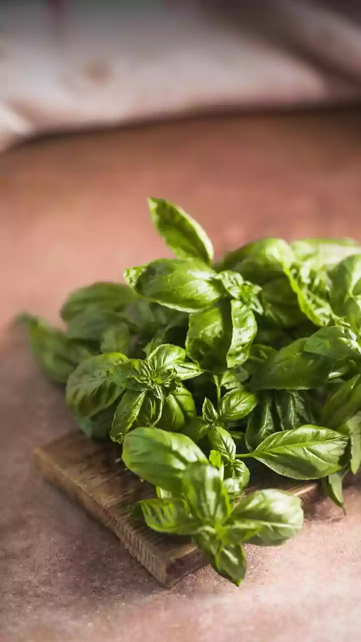 Fresh Basil Is Better Added Late If You Want A Brighter Herb Note