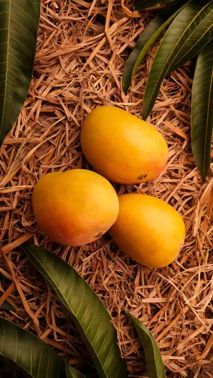 Bengaluru's Grand Mango Mela Kicks Off: Your Guide to Juicy Delights Until May 17