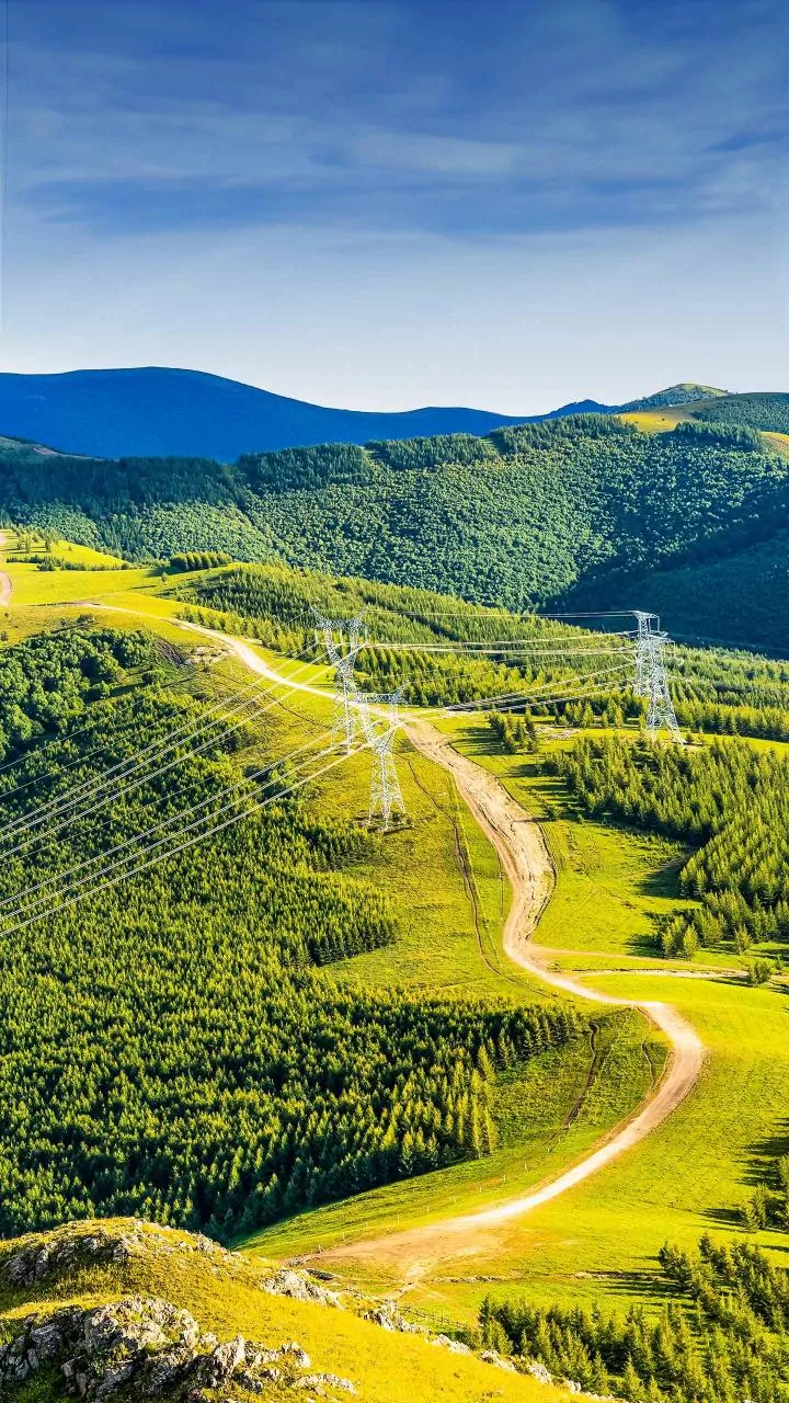 Arunachal DyCM urges Power Grid Corp to prioritise laying of transmission lines