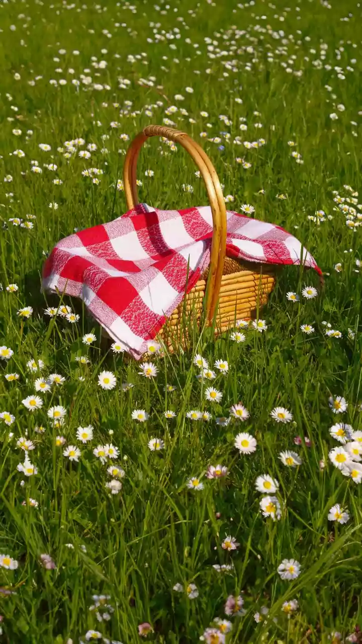 Sun strength rising — tap before heading out.