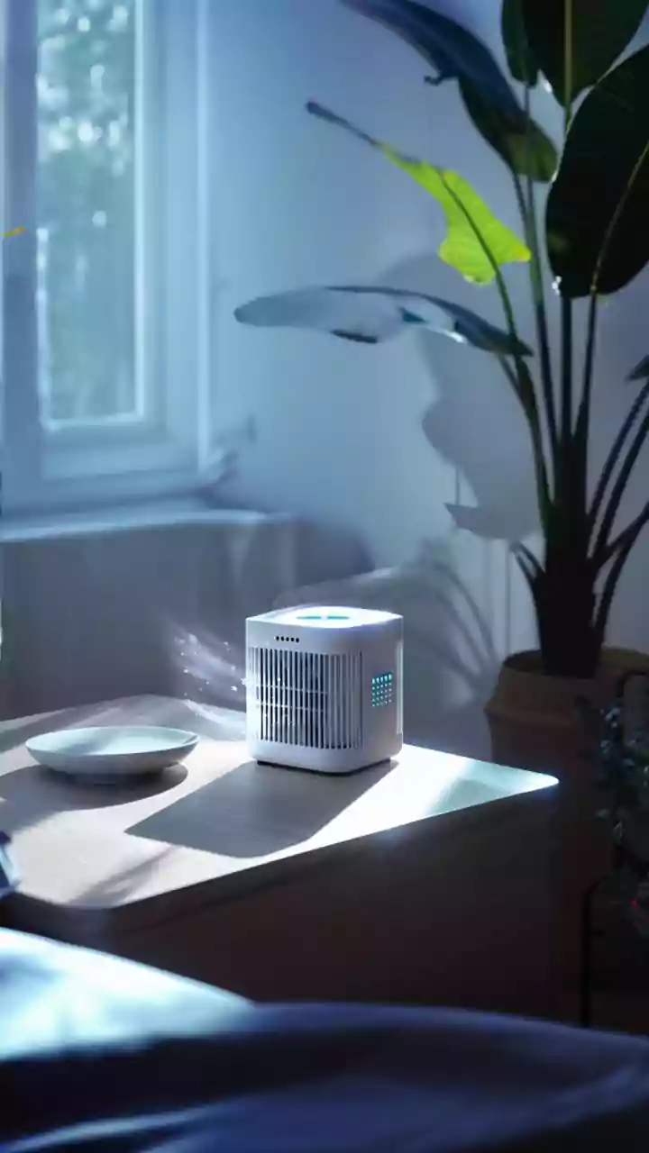 AQI report – steady winds ensure breathable air.