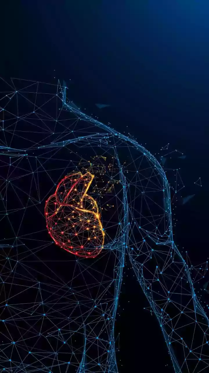 ChatGPT Health: Personalized Wellness Support