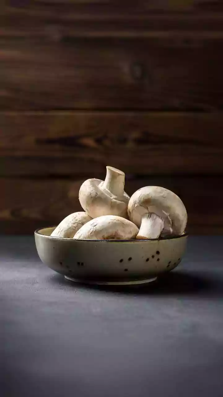 Sustainable Protein Innovations: Urban Mushroom Farms Powered By Coffee Waste