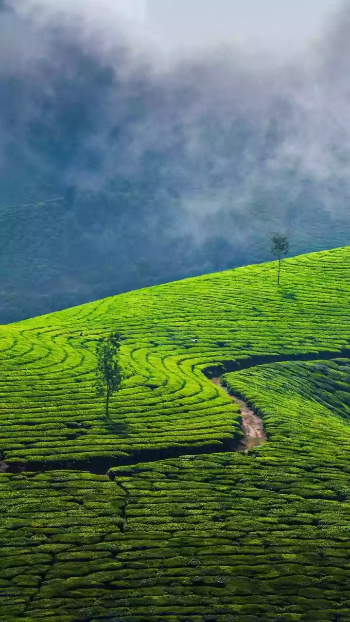 Our Aim Is To Protect Kerala From Anti-National Forces, Says Amit Shah