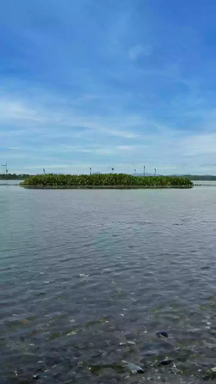 Loktak Lake: Manipur's Floating Wonderland and World's Only National Park on Water
