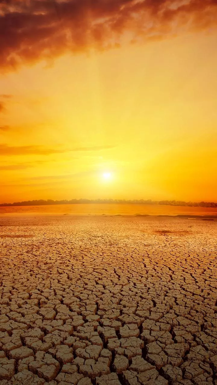 February 2026 to be hottest and driest month: IMD