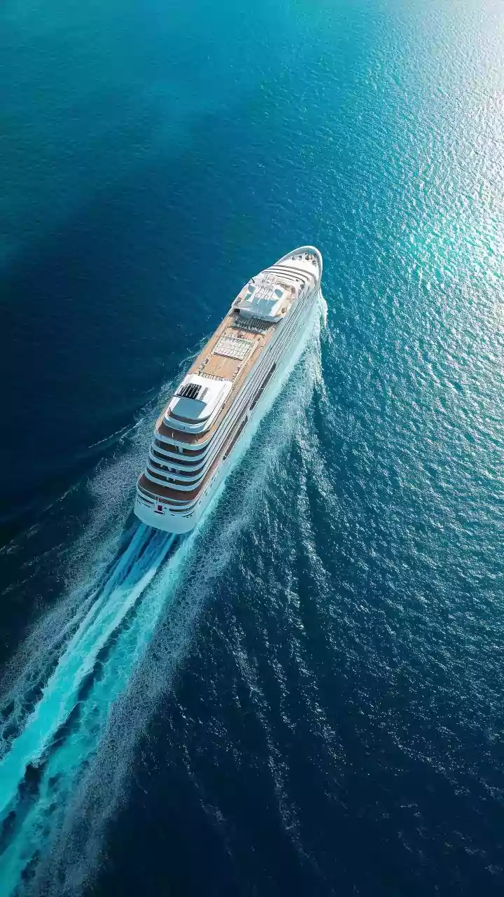 What to Know About Hantavirus and Its Suspected Role in Cruise Ship Outbreak