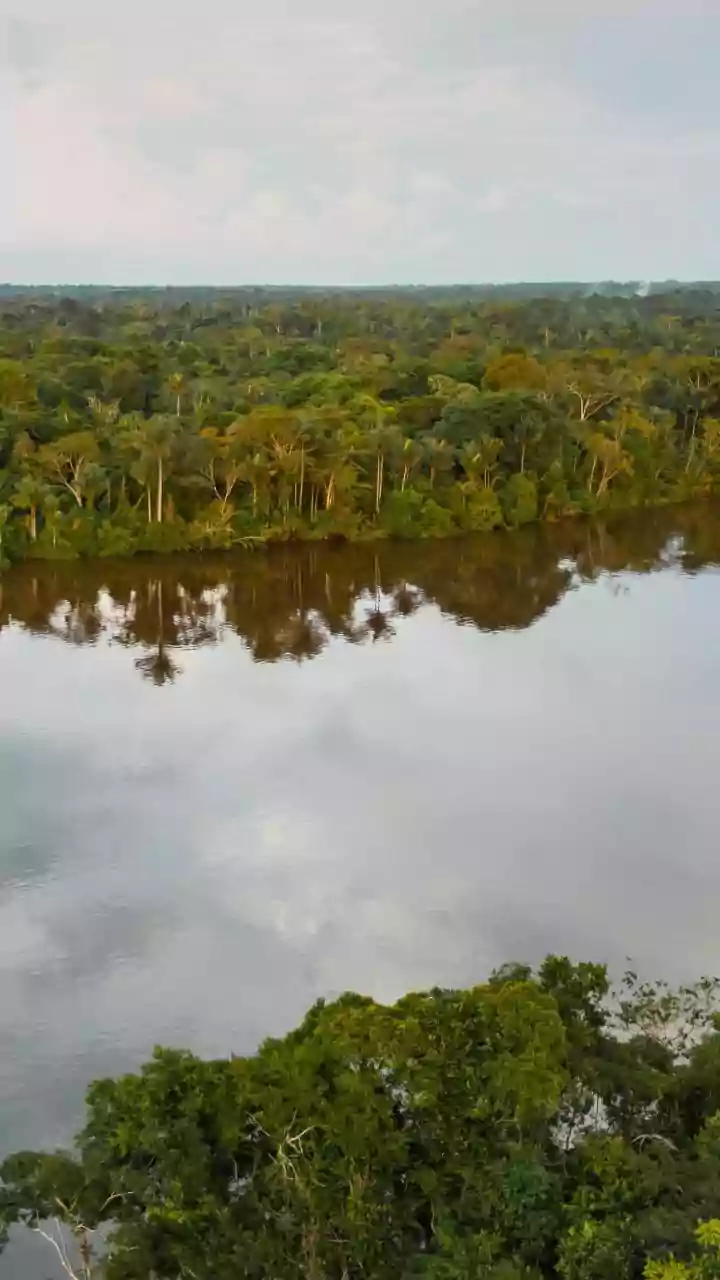 Why Real-Time Telemetry Systems Are Crucial For Vulnerable Sundarbans Delta Communities