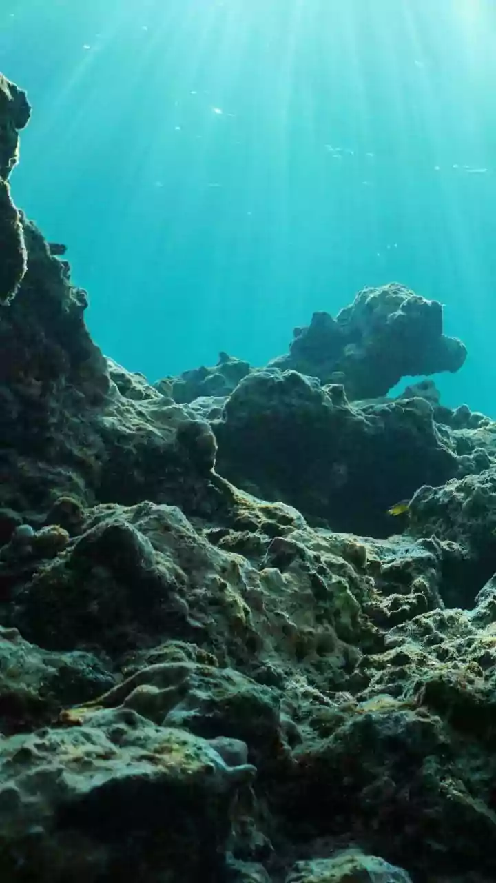 How Lakshadweep Sustainable Travel Rules Limit Marine Pollution Near Sensitive Island Coral Habitats