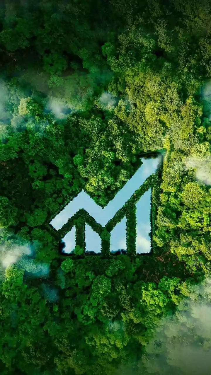 Meesho IPO: Navigating Allotment, Predicting Gains