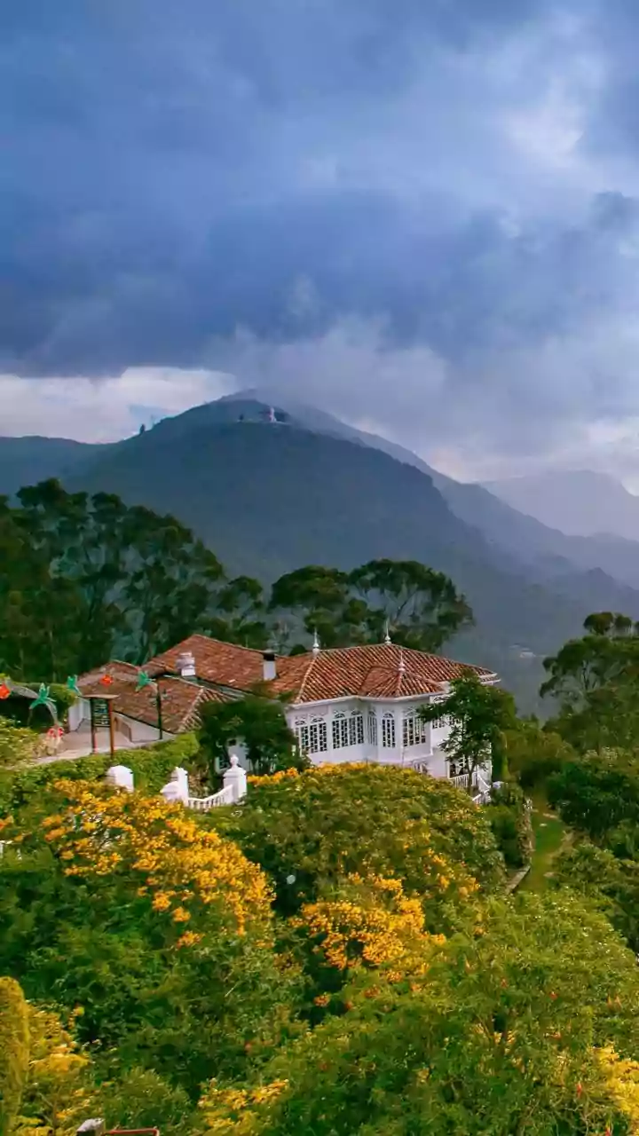 Abbotsford Estate, Nainital: A Historic Homestay Blending Heritage with Eco-Conscious Living