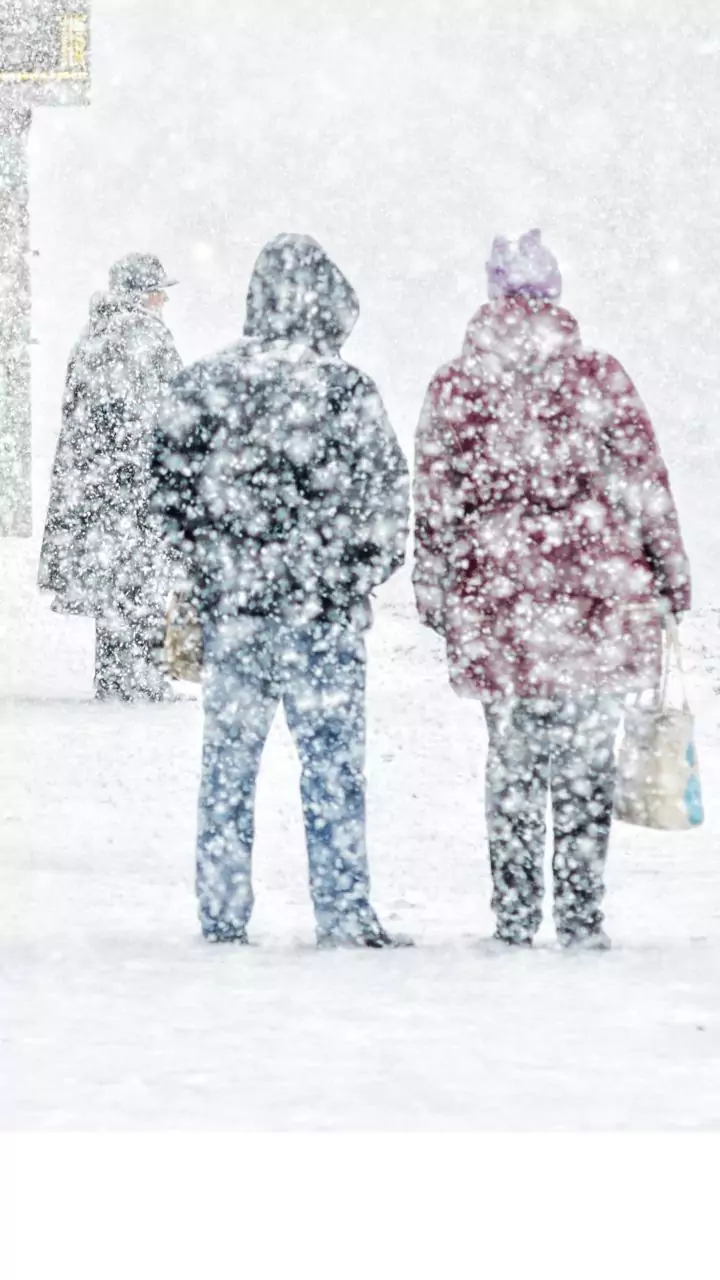 Cold weather conditions prevail in parts of Punjab, Haryana; Amritsar coldest at 2.8 deg C