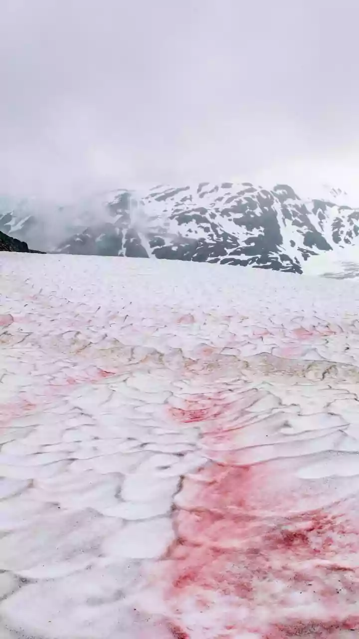 High Altitude's Secret: How Low Oxygen Might Protect Against Diabetes