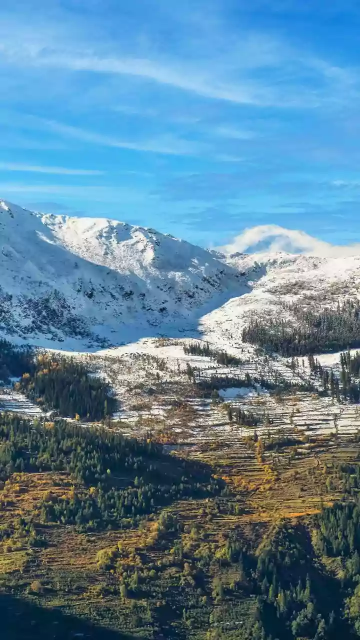 Kashmir Cooperatives Cut Post-Harvest Losses With State-Of-The-Art Cold Storage Logistics
