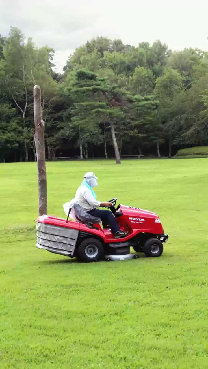 Winter Mower Woes: Should Your Lawn Mower Brave the Cold Outdoors?