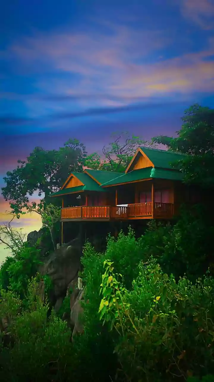 How Monsoon Rains In Kerala Enhance Rejuvenation At Traditional Millennial Ayurvedic Retreats