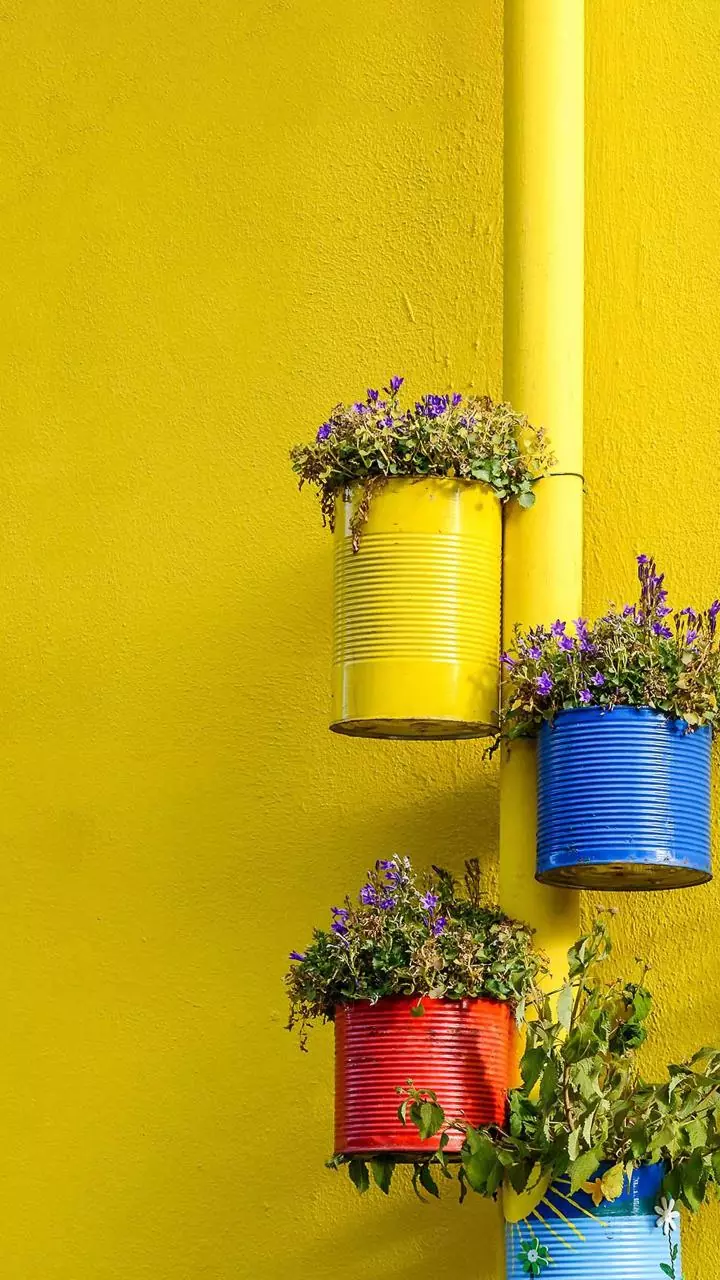 Flower pots placed along roads stolen hours after PM's event in Lucknow