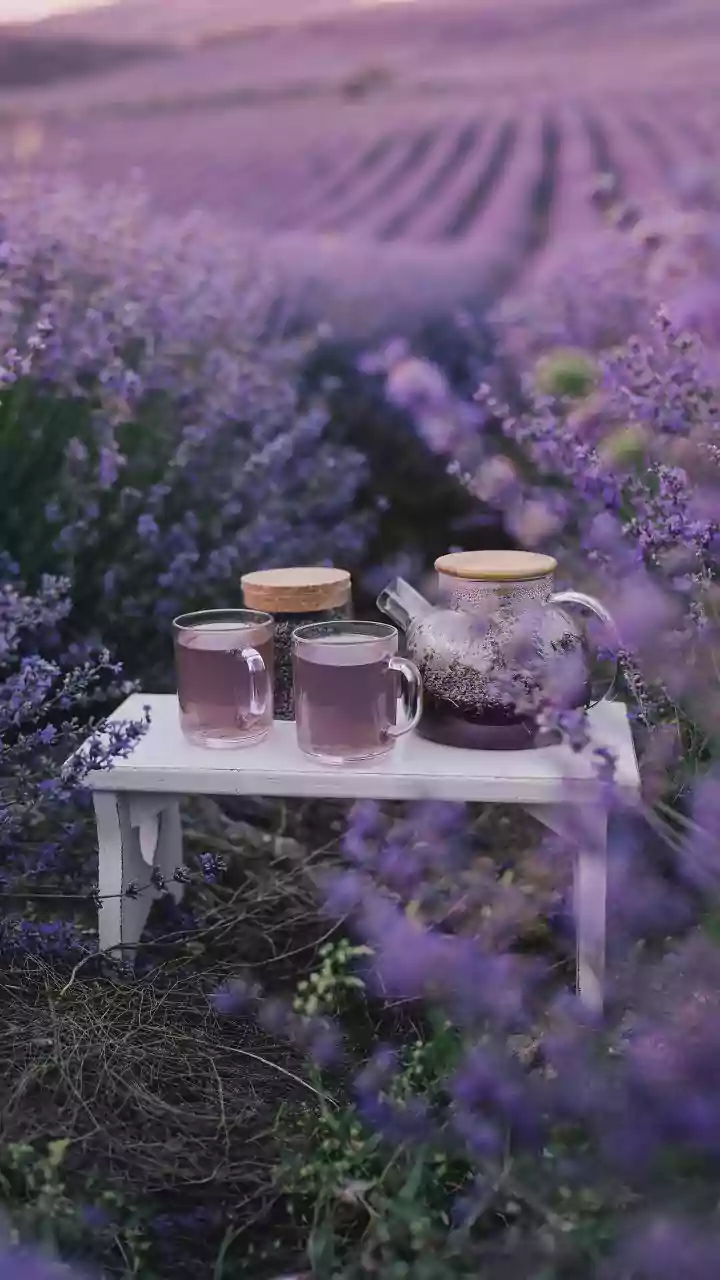 Herbal infusions improving clarity during winter fog