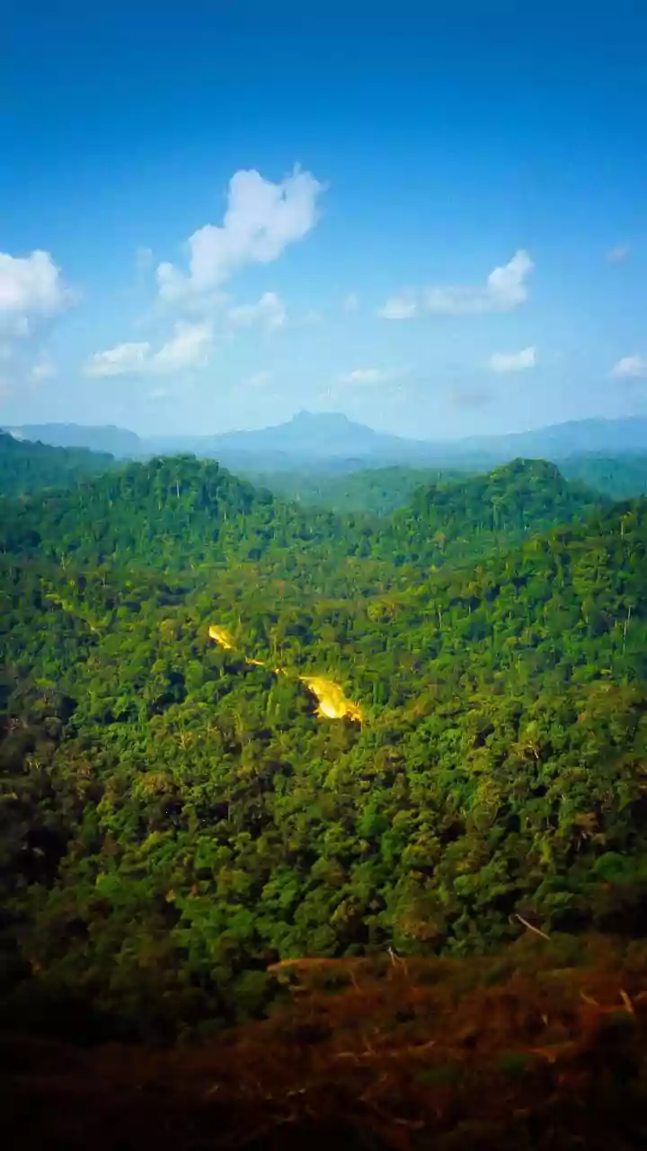 Two members of Maoist splinter group shot dead in internal clash in Jharkhand