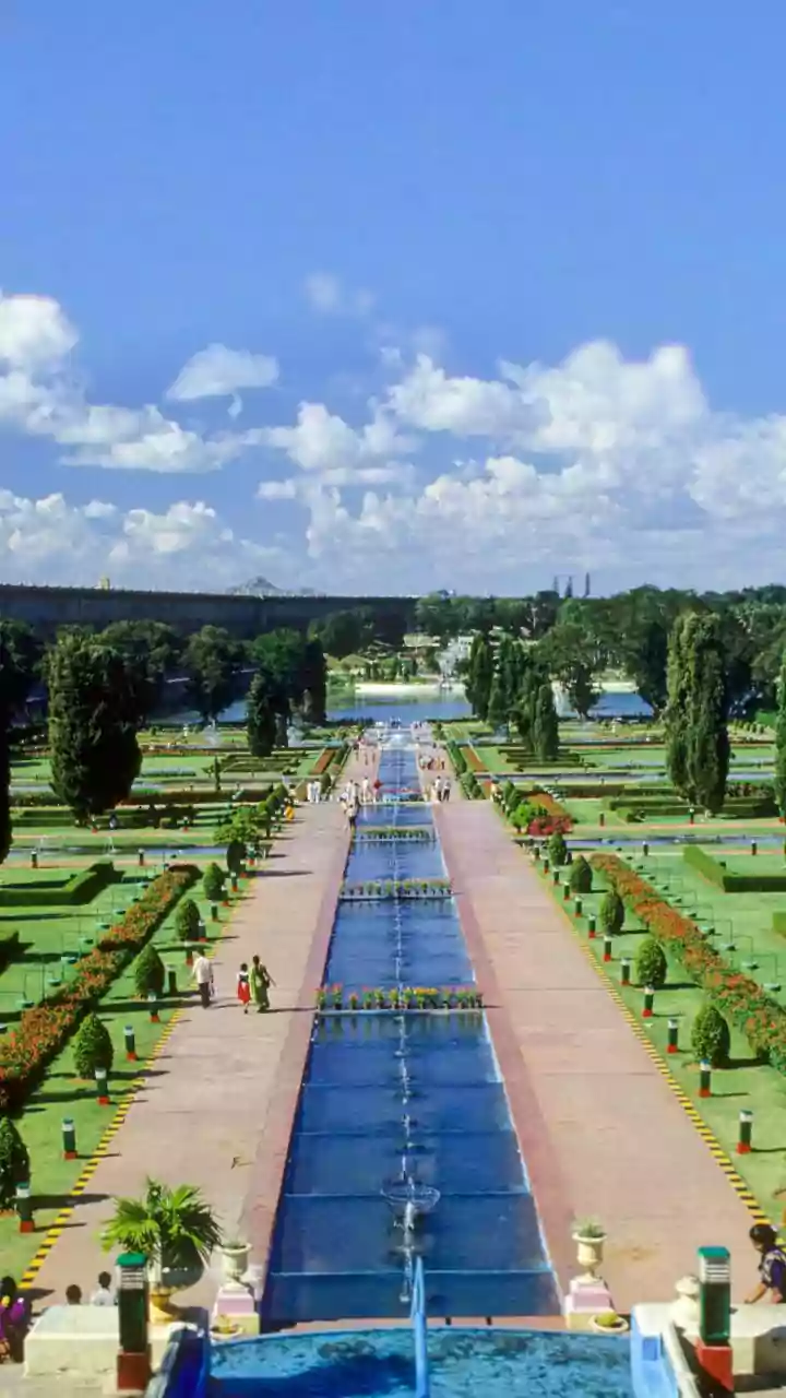Environmental Guidance On Restoring Beneficial Soil Bacteria In Waterlogged City Garden Plots