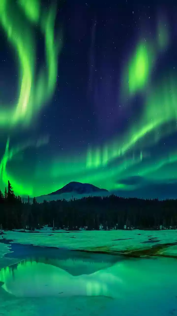 Science & Space Roundup: Top News of the Day (Dec 23)