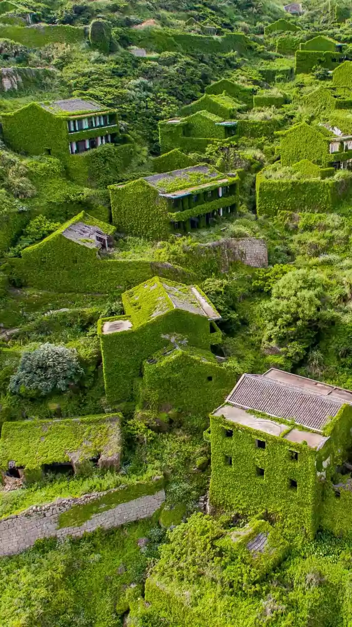 5 abandoned Indian villages with chilling stories: To visit or not to visit?