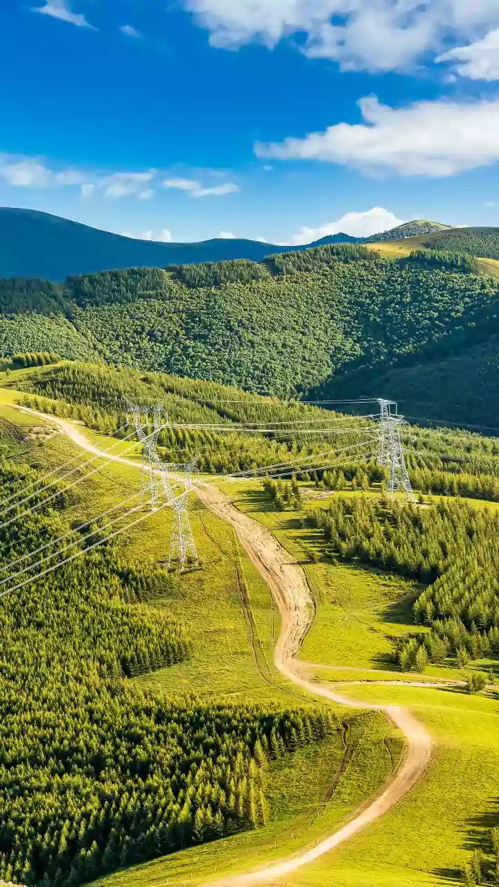 MSEDCL launches online system for faster electricity connections