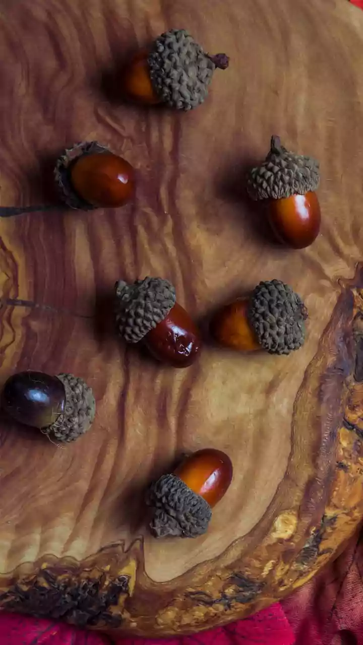 Capricorn Horoscope Today, December 11, 2025