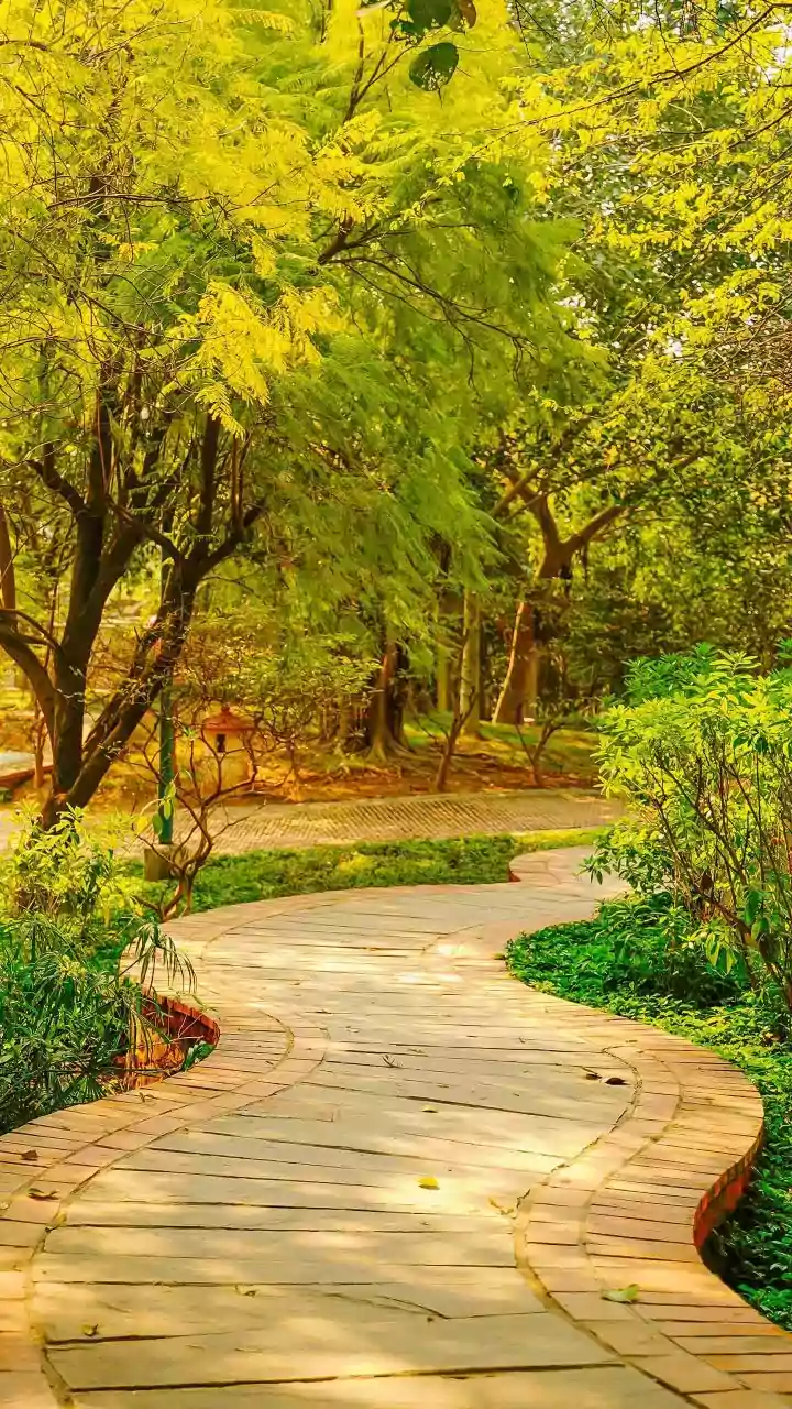 Redefining Life After 60: Purposeful Ageing