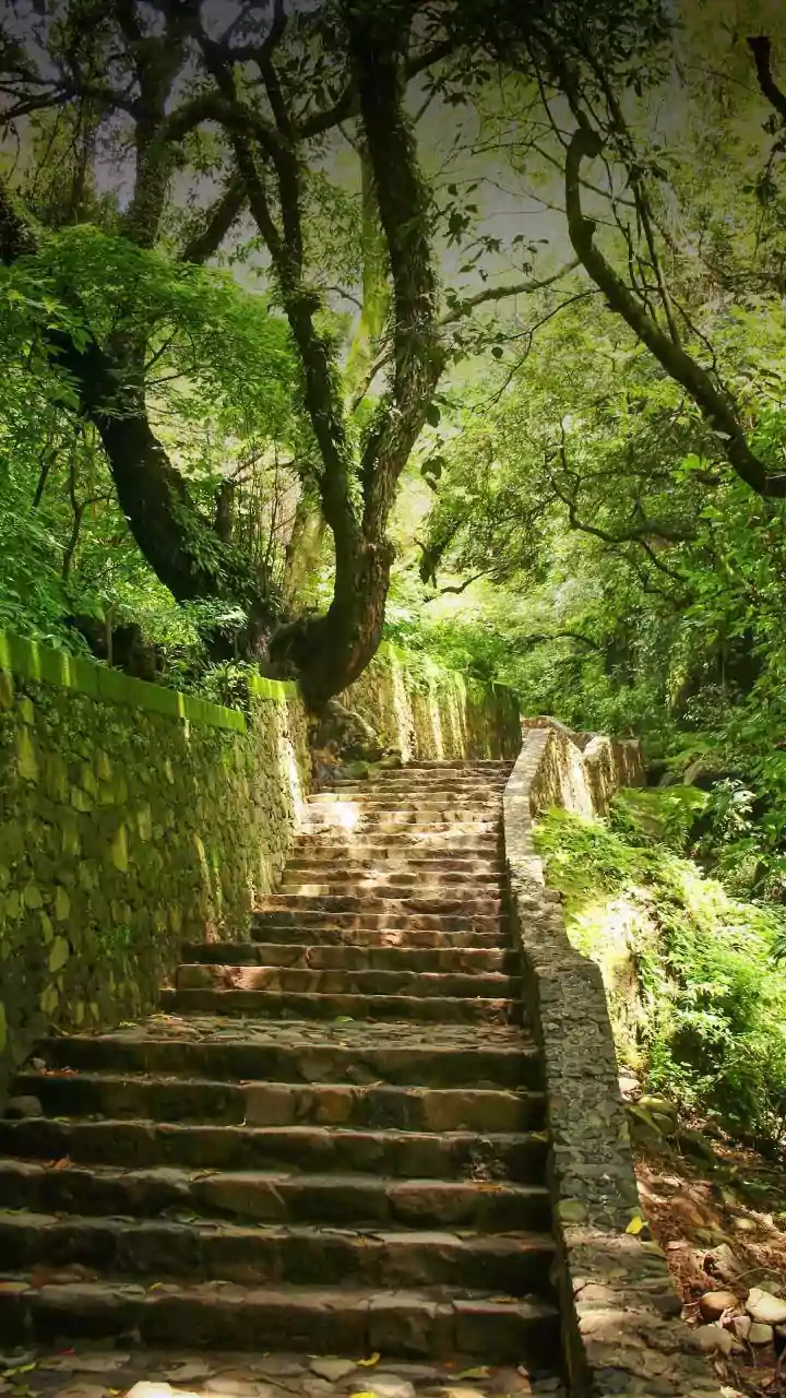 Study Links Around 7,000 Daily Steps with Better Health Outcomes
