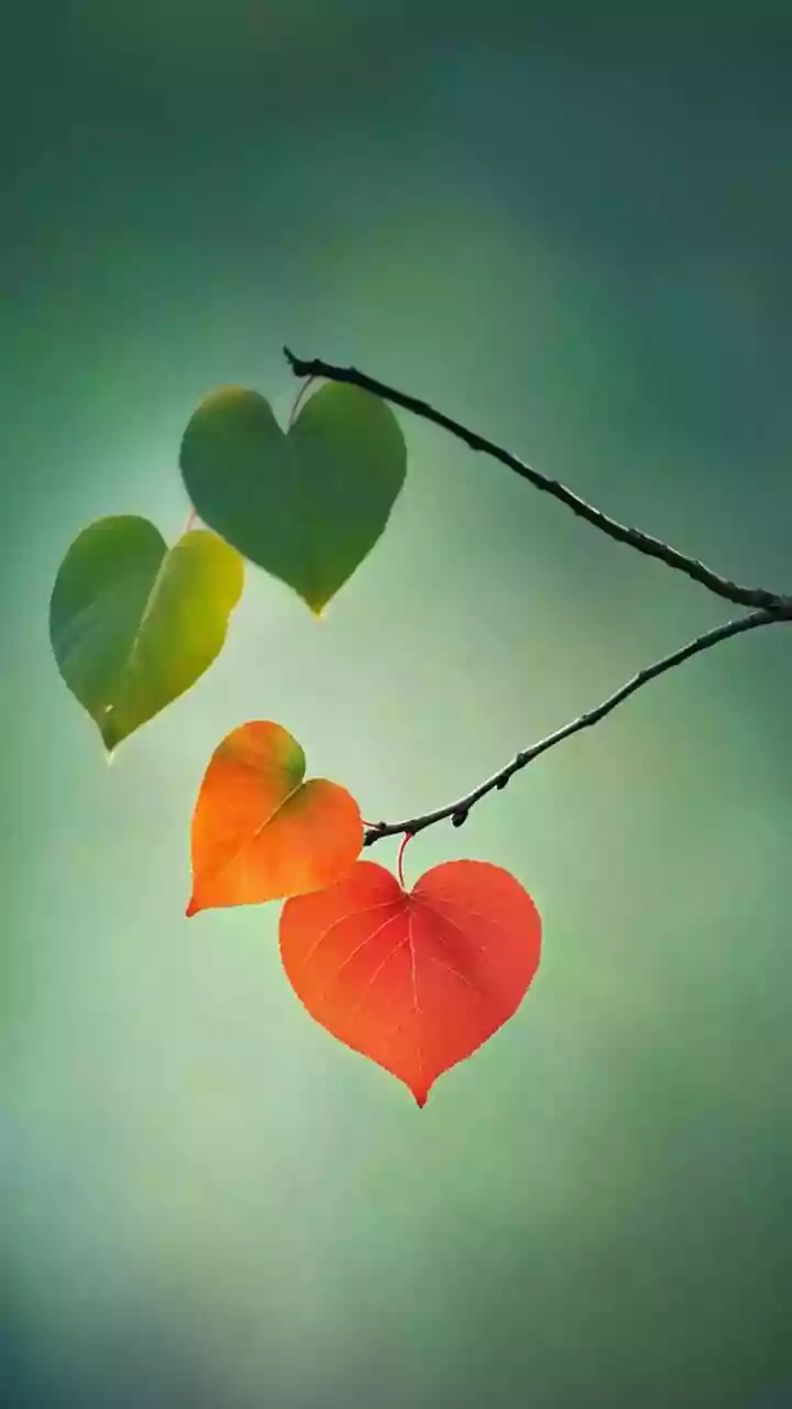 Deepen Your Bonds: Unlock True Connection Through Vulnerability and Genuine Care