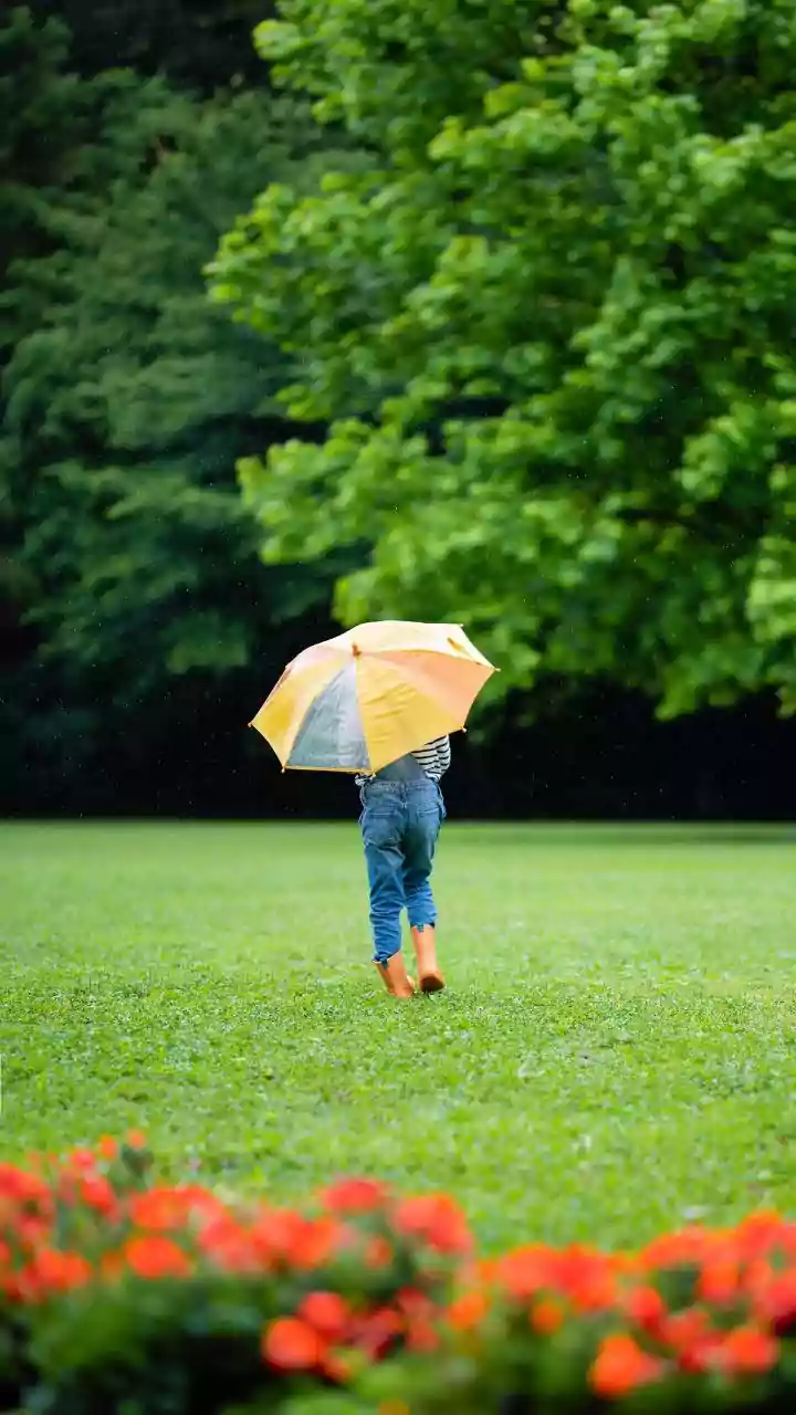 10 Monsoon Mistakes That Could Ruin Your Season