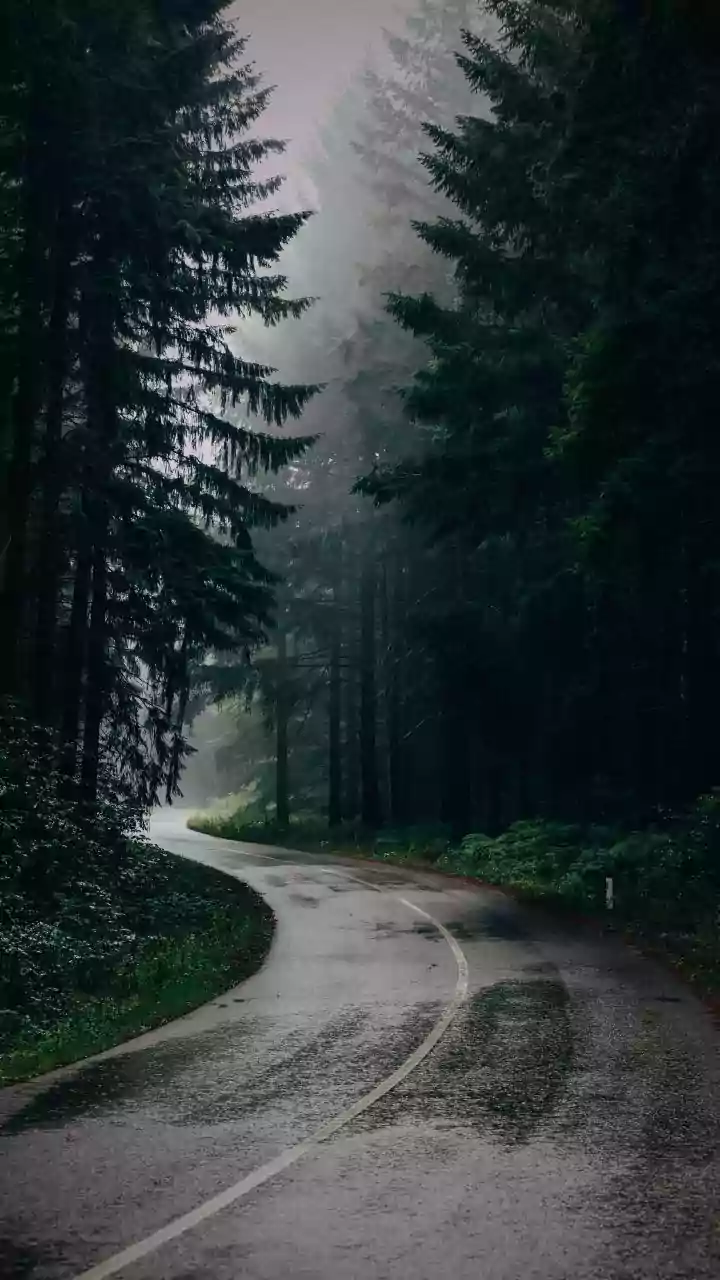 Dense fog triggers multiple road crashes across UP, 25 killed and 59 injured