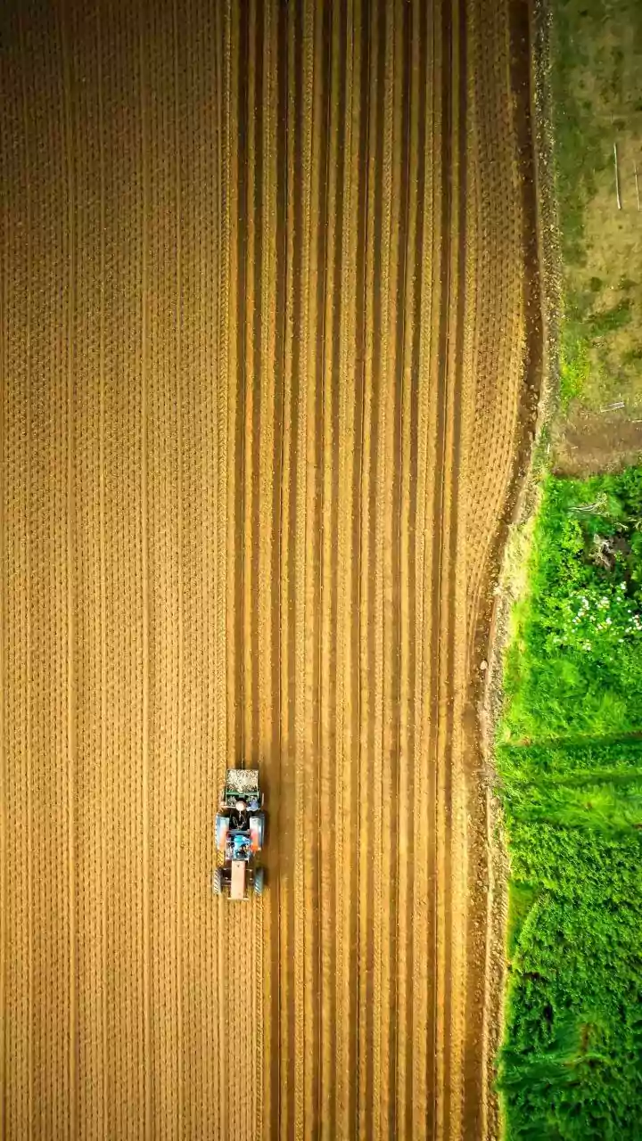 How Earth Observation Data Supports Modern Agriculture