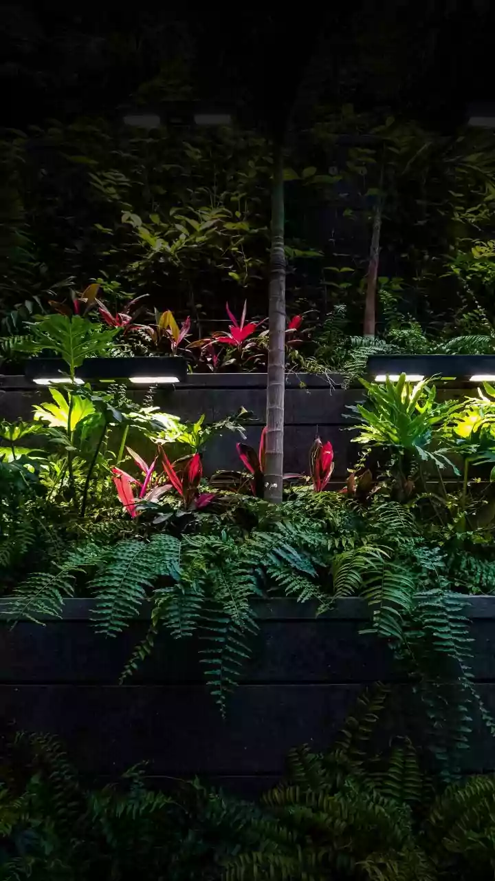 Master Your Garden: Essential Tools and Their Precise Uses Explained