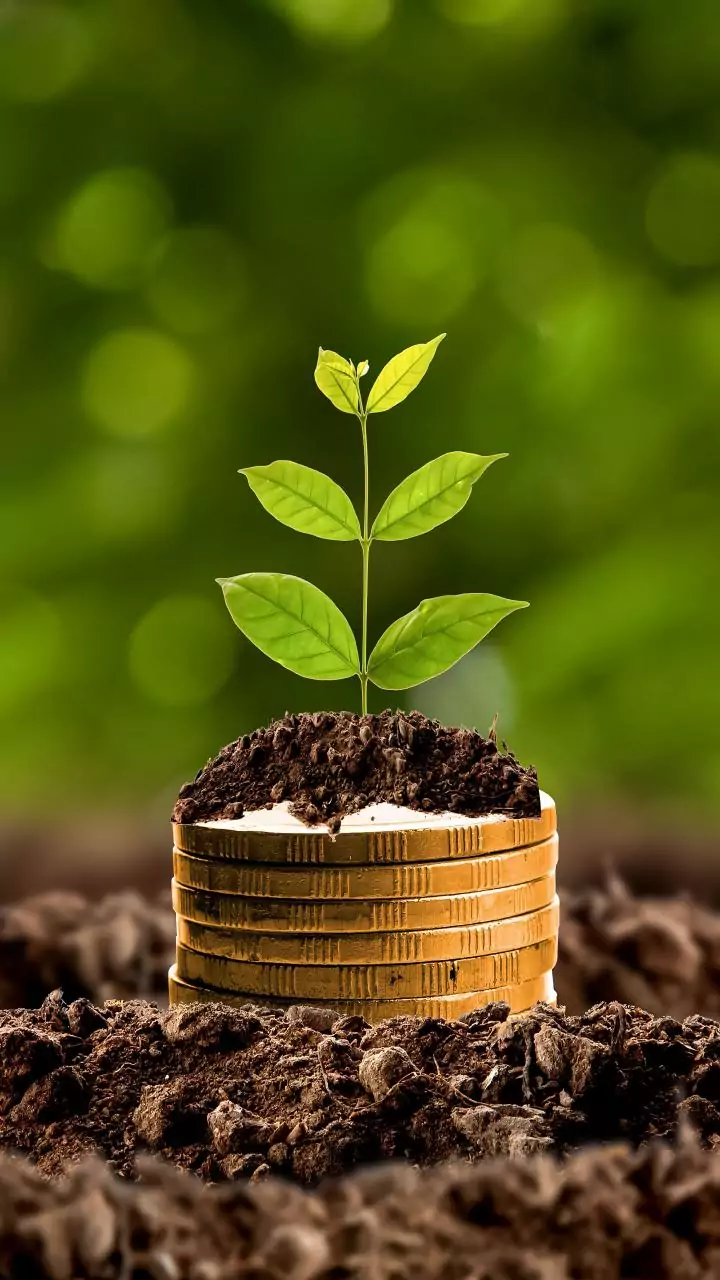 Neulife raises USD 1 mn in seed funding round