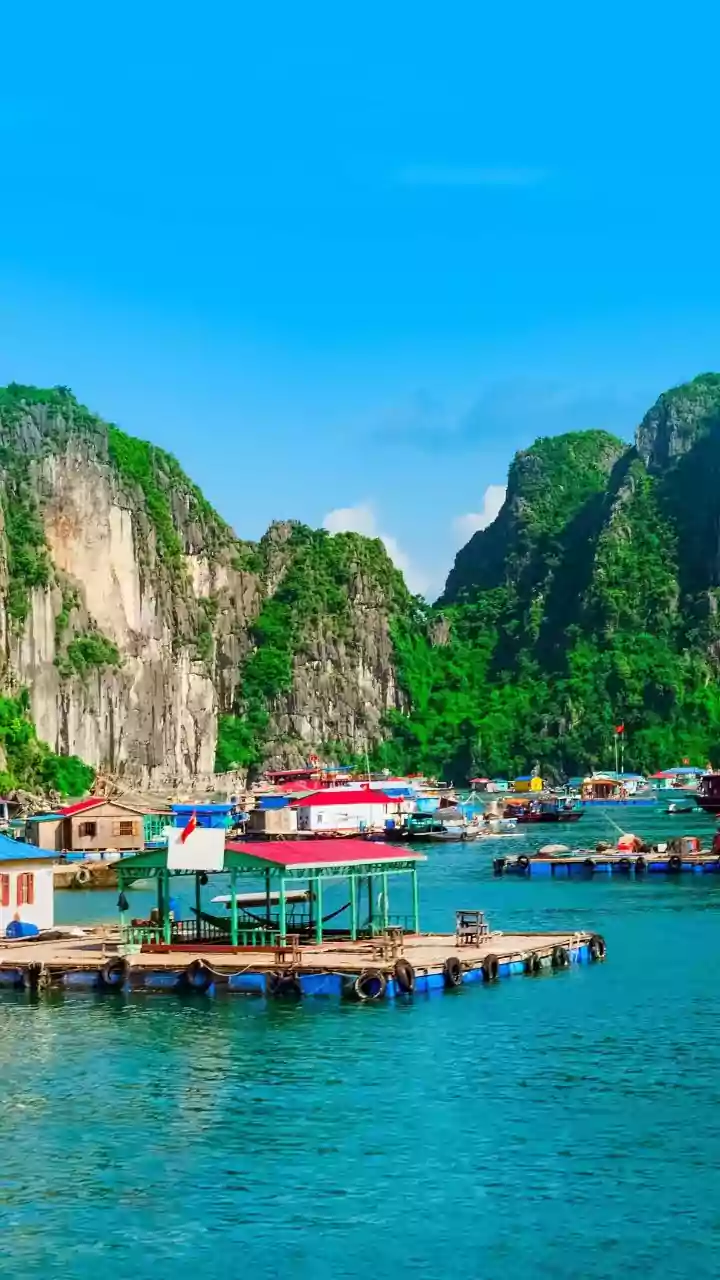 How To Spend A Week In Vietnam Without Spending Big On Advance Reservations