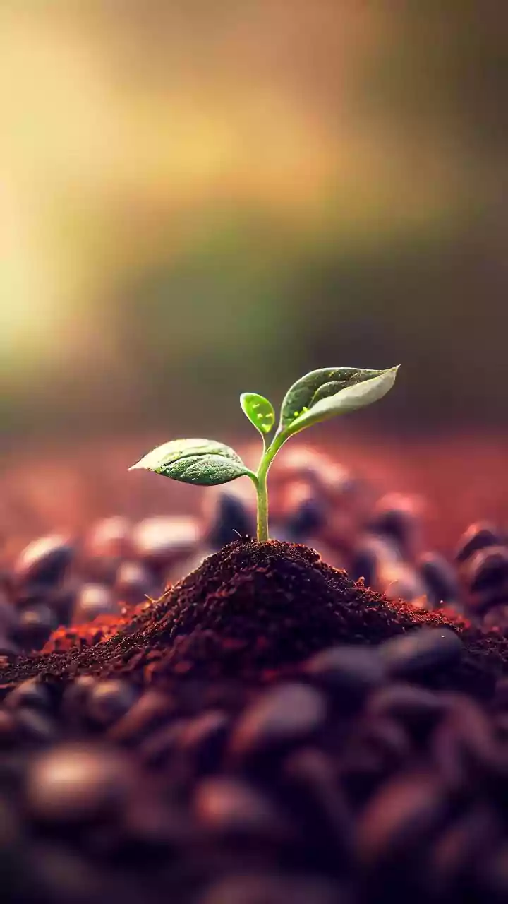 The Power of Small Steps: Cultivating Enduring Success Through Persistent Effort