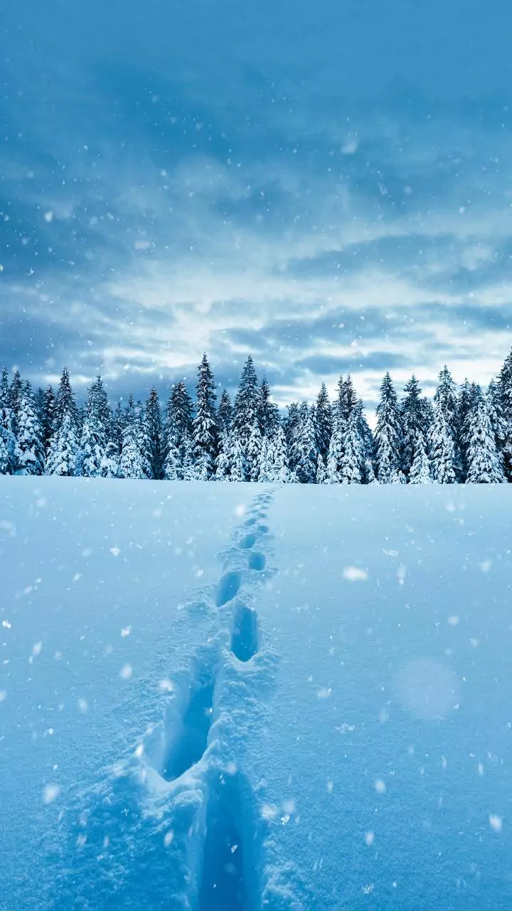 Snowstorm damages nearly 100 structures in J&K's Bandipora