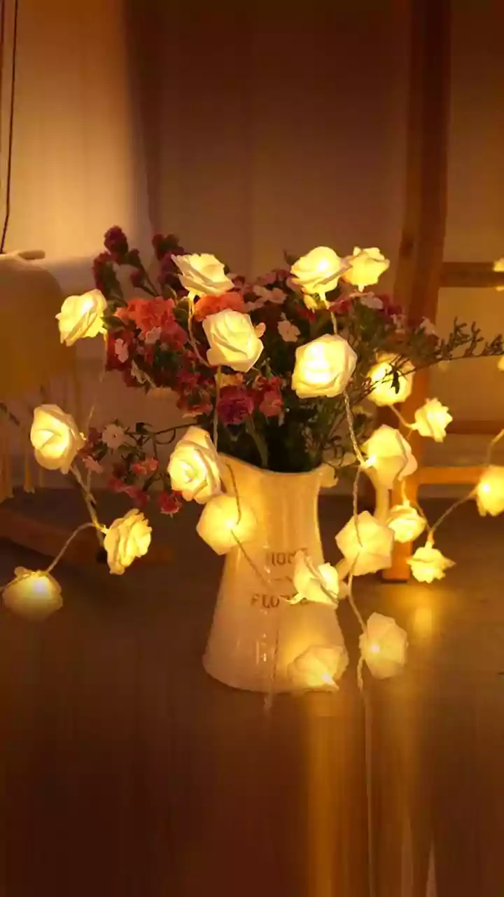 Replacing Plastic Decorations With LED Copper Strings Creates Eco-Friendly Festive Lighting