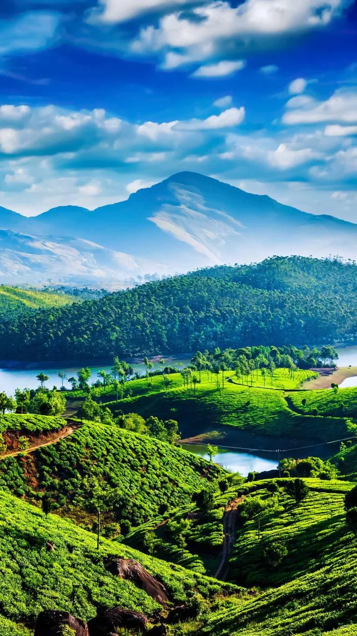 Related Stories banner